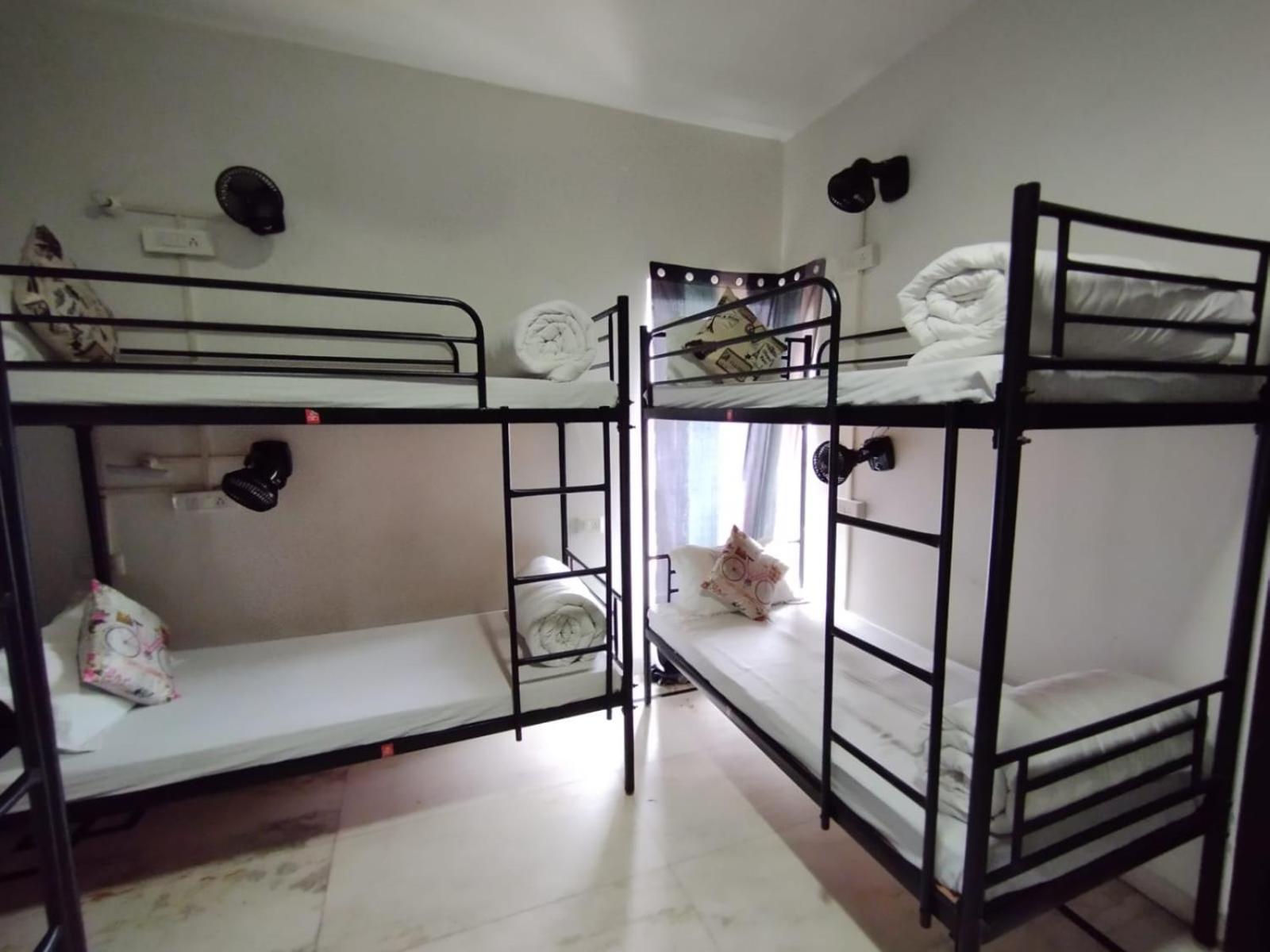 A Sleepy Fox Hostel New Delhi Eksteriør billede